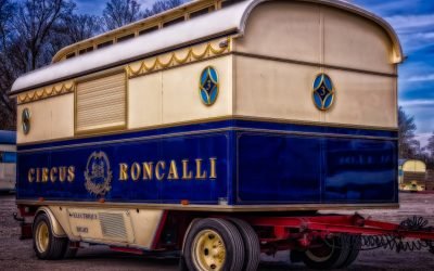 EL CIRCO DE LAS MARIPOSAS