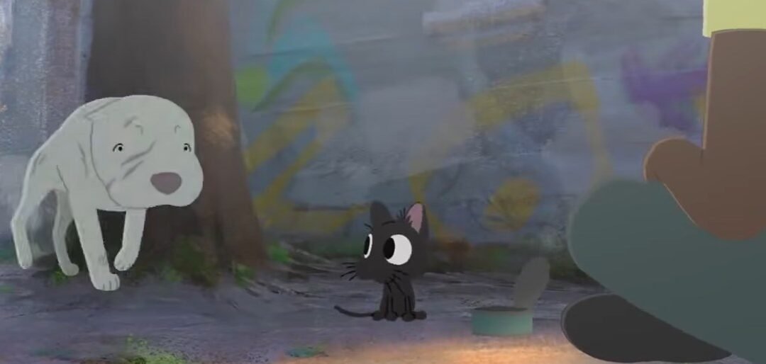 🐱🐶 KITBULL — “Empezamos juntos un nuevo curso”